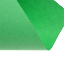 Бумага цветная А4, Calligrata, 250 листов, пастель, интенсив, 80 г/м², 10 цветов - фото 51385543