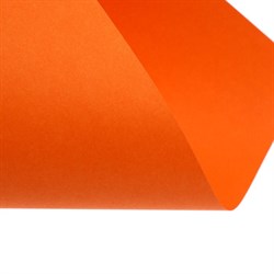 Бумага цветная А4, Calligrata, 250 листов, пастель, интенсив, 80 г/м², 10 цветов - фото 51385545