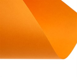 Бумага цветная А4 250 листов Calligrata Умеренный интенсив, 5 цветов 80г/м2, АМБАЛАЖ - фото 51385554