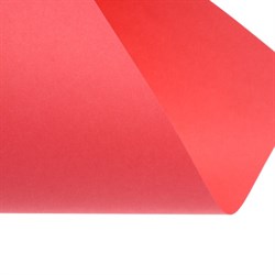 Бумага цветная А4 250 листов Calligrata Умеренный интенсив, 5 цветов 80г/м2, АМБАЛАЖ - фото 51385556