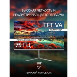 Монитор Leff 24FV100, 24", VA, 1920×1080, 75Гц, 7мс, D-Sub, HDMI, DP, чёрный - фото 51386714