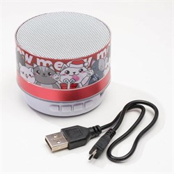 Портативная колонка «Котята», Bluetooth, USB, 6,9 х 6,9 х 5,2 - фото 51390033
