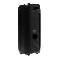 Портативная колонка Telefunken TF-MS3303, 90 Вт, 5000 мАч, TWS, AUX, FM, дисплей, подсветка - фото 51395049