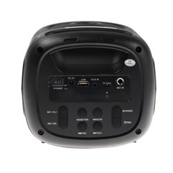Портативная колонка Eltronic Crazy Box 100, 10 Вт, FM, BT, microSD, AUX, подсветка - фото 51395685
