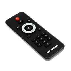 Портативная колонка Soundmax SM-MS4207, 80Вт, 3600мАч, FM, BT, USB, TWS, подсветка, черная - фото 51397253