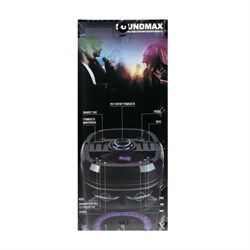 Портативная колонка Soundmax SM-MS4207, 80Вт, 3600мАч, FM, BT, USB, TWS, подсветка, черная - фото 51397256