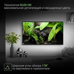 Телевизор Digma DM-LED43SBB31, 43", 1920×1080, DVB-T/T2/C/S/S2, HDMI×3, USB×2, Smart TV - фото 51398524