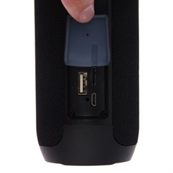 Портативная колонка Digma D-PS1510, 10Вт, BT, microSD,USB,AUX,FM, 1200мАч, черная - фото 51398865