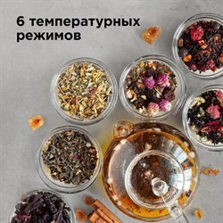 Чайник электрический REDMOND RK-G1308D, стекло, 1.7 л, 1500 Вт, регулировка температуры, чёрный - фото 51404615