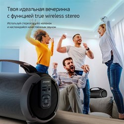Колонка порт. Digma D-PS1520 черный/черный 16W 1.0 BT 10м 1500mAh (SP1520B) - фото 51417209