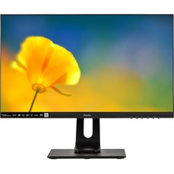 Монитор Iiyama 23.8" ProLite XUB2492HSN-B1 черный IPS LED 16:9 HDMI M/M матовая HAS Piv 250c   10046 - фото 51427507