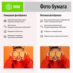Фотобумага для струйной печати А6, 500 листов Cactus, 230 г/м2, односторонняя, глянцевая - фото 51430264