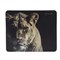 Коврик для мыши Defender Wild Animals 220x180x2 мм, МИКС - фото 51364728