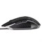 Мышь LuazON MB-2.9, игровая, оптическая, подсветка, покрытие soft-touch, 1.35 м - фото 51364970 Мышь LuazON MB-2.9, игровая, оптическая, подсветка, покрытие soft-touch, 1.35 м - фото 51364970