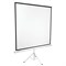 Экран проекционный 180 х 180 см, BRAUBERG TRIPOD, матовый, на треноге - фото 51366543
