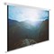 Экран Cactus 240x240см CS-PSWE-240x240-WT, 1:1, настенно-потолочный, рулонный - фото 51374483 Экран Cactus 240x240см CS-PSWE-240x240-WT, 1:1, настенно-потолочный, рулонный - фото 51374483