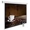 Экран Cactus 300x300см CS-PSME-300x300-WT, 1:1, настенно-потолочный, рулонный, белый - фото 51374538 Экран Cactus 300x300см CS-PSME-300x300-WT, 1:1, настенно-потолочный, рулонный, белый - фото 51374538