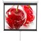 Экран 180x240 см, Digis Optimal-D DSOD-4304, 1:1, настенно-потолочный, рулонный - фото 51374680 Экран 180x240 см, Digis Optimal-D DSOD-4304, 1:1, настенно-потолочный, рулонный - фото 51374680
