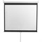Экран 229x308 см, Digis Optimal-D DSOD-4306, 4:3, настенно-потолочный, рулонный - фото 51374719