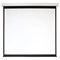Экран 180x240 см, Digis Electra-F DSEF-4304, 4:3, настенно-потолочный, рулонный, привод - фото 51374731