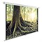 Экран Cactus 220x220см CS-PSWE-220x220-WT, 1:1, настенно-потолочный, рулонный - фото 51377146 Экран Cactus 220x220см CS-PSWE-220x220-WT, 1:1, настенно-потолочный, рулонный - фото 51377146