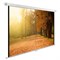Экран Cactus 125x200см CS-PSWE-200x125-WT, 16:10, настенно-потолочный, рулонный - фото 51377215 Экран Cactus 125x200см CS-PSWE-200x125-WT, 16:10, настенно-потолочный, рулонный - фото 51377215