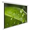 Экран Cactus 150x200см CS-PSWE-200x150-WT, 4:3, настенно-потолочный, рулонный - фото 51377217 Экран Cactus 150x200см CS-PSWE-200x150-WT, 4:3, настенно-потолочный, рулонный - фото 51377217