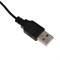 Компьютерные колонки 2.0 ExeGate Accord 200, 2х3Вт, USB, подсветка, черные - фото 51378248 Компьютерные колонки 2.0 ExeGate Accord 200, 2х3Вт, USB, подсветка, черные - фото 51378248