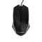 Мышь ExeGate Professional Standard SH-9025L, проводная, оптическая, 1000 dpi, USB, чёрная - фото 51381390 Мышь ExeGate Professional Standard SH-9025L, проводная, оптическая, 1000 dpi, USB, чёрная - фото 51381390