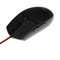 Мышь ExeGate Professional Standard Laser SL-9066, проводная, лазерная, 2400 dpi, USB, чёрная - фото 51381402 Мышь ExeGate Professional Standard Laser SL-9066, проводная, лазерная, 2400 dpi, USB, чёрная - фото 51381402