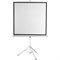 Экран Digis 150x200см Kontur-D DSKD-4303 4:3, напольный, рулонный - фото 51381817 Экран Digis 150x200см Kontur-D DSKD-4303 4:3, напольный, рулонный - фото 51381817
