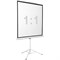 Экран Digis 172x172см Kontur-D DSKD-1104 1:1, напольный, рулонный - фото 51381825 Экран Digis 172x172см Kontur-D DSKD-1104 1:1, напольный, рулонный - фото 51381825