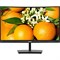 Монитор Philips 241E1SCA(00/01), 23.6", VA, 1920x1080, 75Гц, 4 мс, HDMI, VGA, чёрный - фото 51383827 Монитор Philips 241E1SCA(00/01), 23.6", VA, 1920x1080, 75Гц, 4 мс, HDMI, VGA, чёрный - фото 51383827