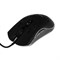 Мышь Smartbuy RUSH Incerto, игровая, проводная, подсветка, 3200 dpi, 7 кнопок, USB, чёрная - фото 51384443 Мышь Smartbuy RUSH Incerto, игровая, проводная, подсветка, 3200 dpi, 7 кнопок, USB, чёрная - фото 51384443