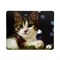 Коврик для мыши VS "Cat" 7, 194х233х3 мм - фото 51386437 Коврик для мыши VS "Cat" 7, 194х233х3 мм - фото 51386437