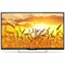 Телевизор Polarline 43PL51TC, 43", 1920x1080, DVB-T2/C, 3xHDMI, 2xUSB, черный - фото 51388413 Телевизор Polarline 43PL51TC, 43", 1920x1080, DVB-T2/C, 3xHDMI, 2xUSB, черный - фото 51388413