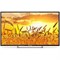 Телевизор PolarLine 40PL11TC-SM, 40", 1920х1080, DVB-T2/C, 3xHDMI, 2xUSB, SmartTV, чёрный - фото 51390842 Телевизор PolarLine 40PL11TC-SM, 40", 1920х1080, DVB-T2/C, 3xHDMI, 2xUSB, SmartTV, чёрный - фото 51390842