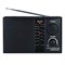 Радиоприемник Econ ERP-2300UR, 220В, 3Вт, AUX, FM 64-108 мГц, цвет чёрный - фото 51392527 Радиоприемник Econ ERP-2300UR, 220В, 3Вт, AUX, FM 64-108 мГц, цвет чёрный - фото 51392527