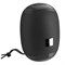 Портативная колонка Borofone R6, 10 Вт, BT5.0, AUX, FM, microSD, USB, 1200 мАч, чёрная - фото 51392689