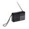 Радиоприемник Telefunken TF-1667, FM+ 87.5 МГц - 108 МГц, MP3, USB, microSD,800 мАч, чёрный - фото 51392778 Радиоприемник Telefunken TF-1667, FM+ 87.5 МГц - 108 МГц, MP3, USB, microSD,800 мАч, чёрный - фото 51392778