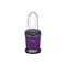 Блендер Oursson BL1000TD/SP, стационарный, 300 Вт, 0.5/0.28/0.7 л, фиолетовый - фото 51404461