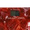 Весы напольные Galaxy GL 4819, электронные, до 180 кг, 1хCR2032 (в комплекте) - фото 51415377 Весы напольные Galaxy GL 4819, электронные, до 180 кг, 1хCR2032 (в комплекте) - фото 51415377