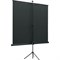 Экран Lumien 180x180см Eco View LEV-100107 1:1, напольный, на треноге, рулонный - фото 51416296 Экран Lumien 180x180см Eco View LEV-100107 1:1, напольный, на треноге, рулонный - фото 51416296