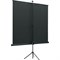 Экран на треноге Lumien Eco View LEV-100111, 153×203 см, 4:3, напольный, рулонный - фото 51416356