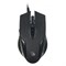 Мышь A4Tech Bloody Q51 черный/рисунок оптическая (6200dpi) USB (8but) - фото 51416445 Мышь A4Tech Bloody Q51 черный/рисунок оптическая (6200dpi) USB (8but) - фото 51416445