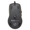 Мышь A4Tech X-710BK черный оптическая (2000dpi) USB (7but) - фото 51416588 Мышь A4Tech X-710BK черный оптическая (2000dpi) USB (7but) - фото 51416588
