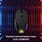Мышь Оклик 765G SYMBIONT черный оптическая (2400dpi) USB (6but) - фото 51416721 Мышь Оклик 765G SYMBIONT черный оптическая (2400dpi) USB (6but) - фото 51416721