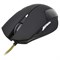 Мышь Оклик 765G SYMBIONT черный оптическая (2400dpi) USB (6but) - фото 51416726 Мышь Оклик 765G SYMBIONT черный оптическая (2400dpi) USB (6but) - фото 51416726