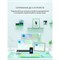 Клавиатура A4Tech Fstyler FBK30 зеленый USB беспроводная BT/Radio slim Multimedia (FBK30 AVO 10045 - фото 51422603 Клавиатура A4Tech Fstyler FBK30 зеленый USB беспроводная BT/Radio slim Multimedia (FBK30 AVO 10045 - фото 51422603