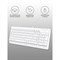 Клавиатура A4Tech Fstyler FK15 белый USB (FK15 WHITE) - фото 51423145 Клавиатура A4Tech Fstyler FK15 белый USB (FK15 WHITE) - фото 51423145